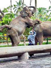 バリ動物園