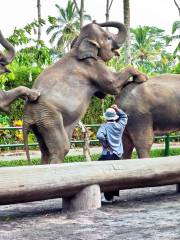 Zoo de Bali
