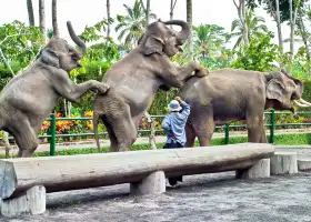 バリ動物園