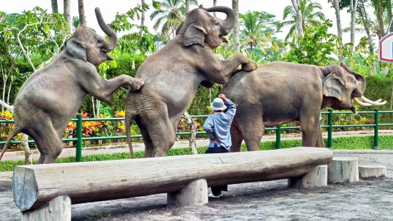 バリ動物園