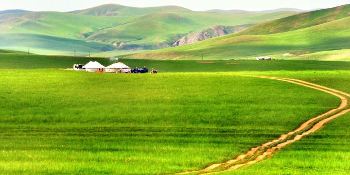 Gonggeer Grassland