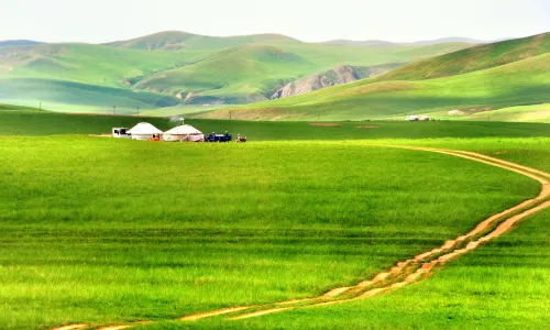 Gonggeer Grassland
