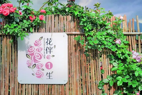 Flowers For Life Time