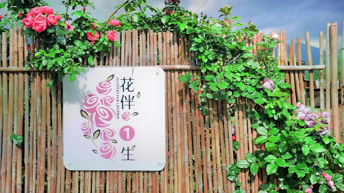 화반일생 장미장원 주변 호텔