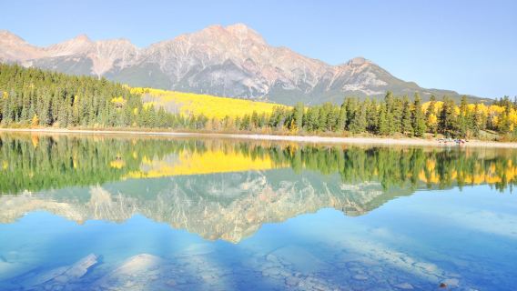 Patricia Lake