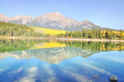 Patricia Lake