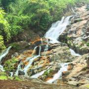 ธรรมชาติและสัตว์ป่า