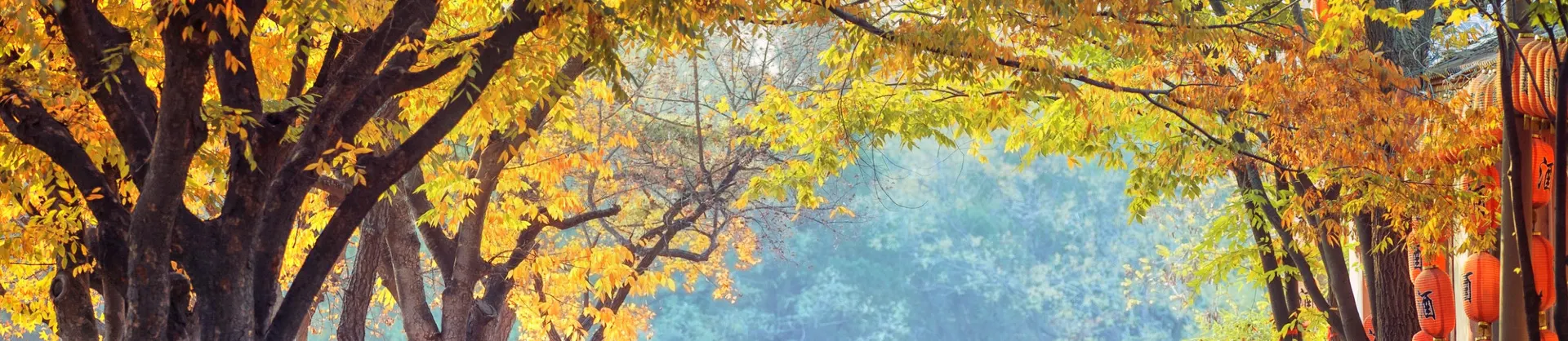 Fall Viewing Attractions