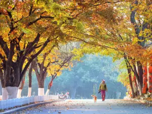 太陽溝
