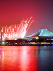 Singapore Indoor Stadium