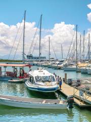 Port Denarau Marina