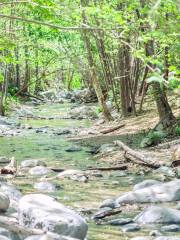 Eaton Canyon Wasserfälle