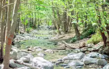 Eaton Canyon Falls Trail