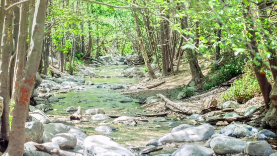 Eaton Canyon Falls Trail