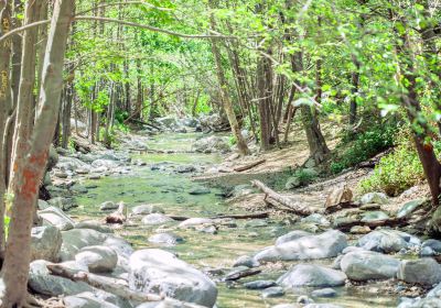 Eaton Canyon Falls Trail