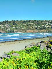 Sumner Beach