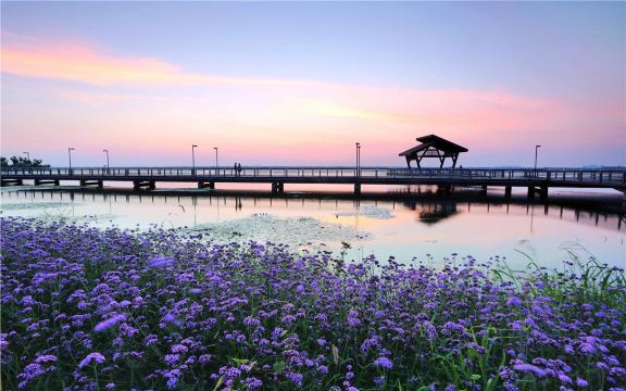 Yangcheng Lake Peninsula Tourist Resort