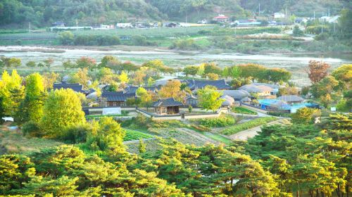 安東河回村