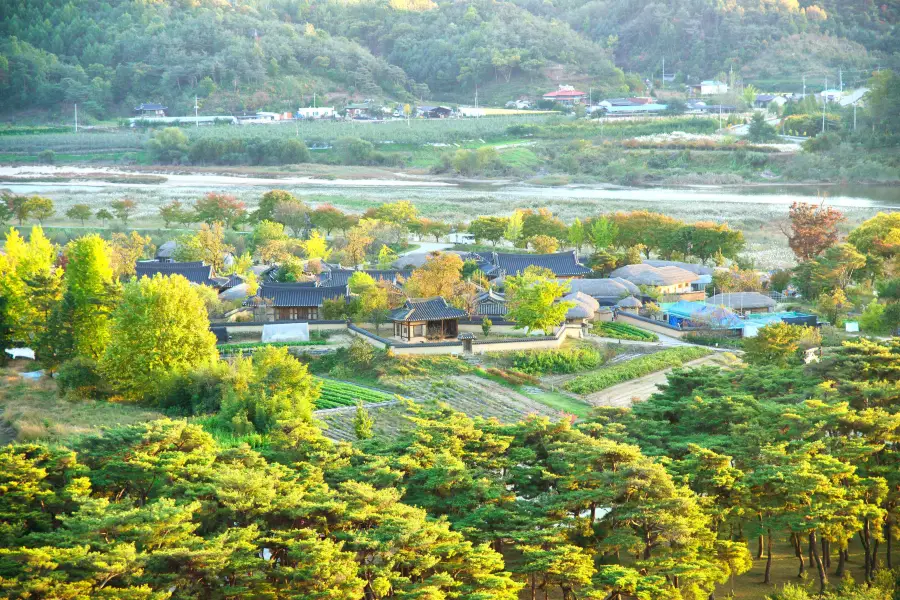 安東河回村