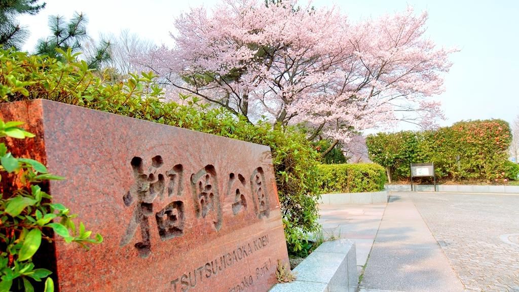 Tsutsujigaoka Park