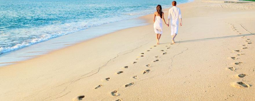 Ayada Maldives Wedding And Honey Moon