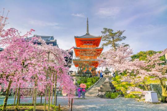 One-day tour to Gion + Kiyomizudera Temple + Uji Bridge + Byodo-in Temple in Kyoto, Japan