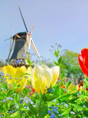 Keukenhof (Jardín de la Cocina)