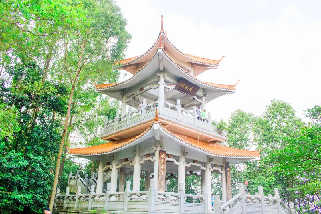 龍頭山森林公園附近的飯店