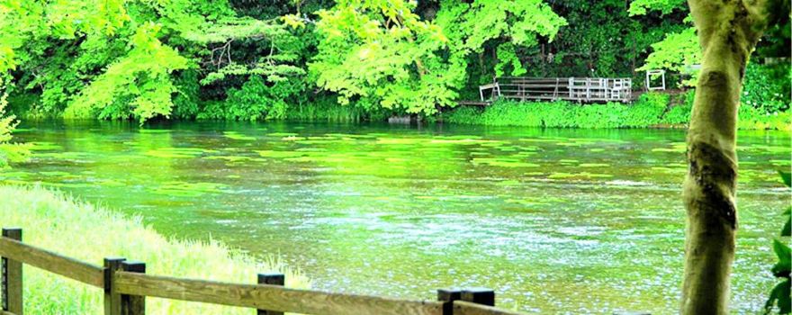 Kakita River Park