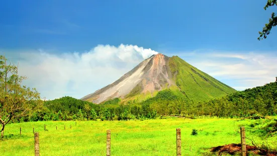 阿雷納火山國家公園