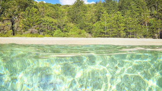 Airlie BeachTours