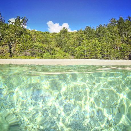 Whitsunday Island