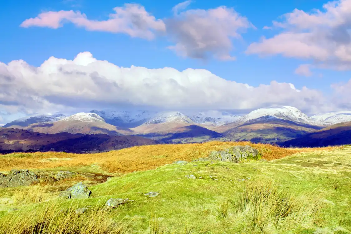 Hill Top 주변 호텔