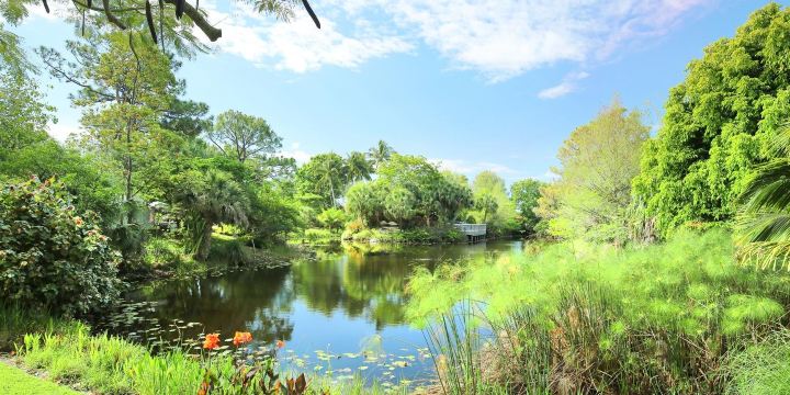 Mounts Botanical Garden