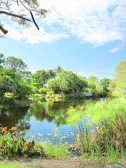 Jardín Botánico Mounts