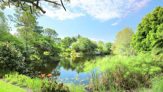 Mounts Botanical Garden