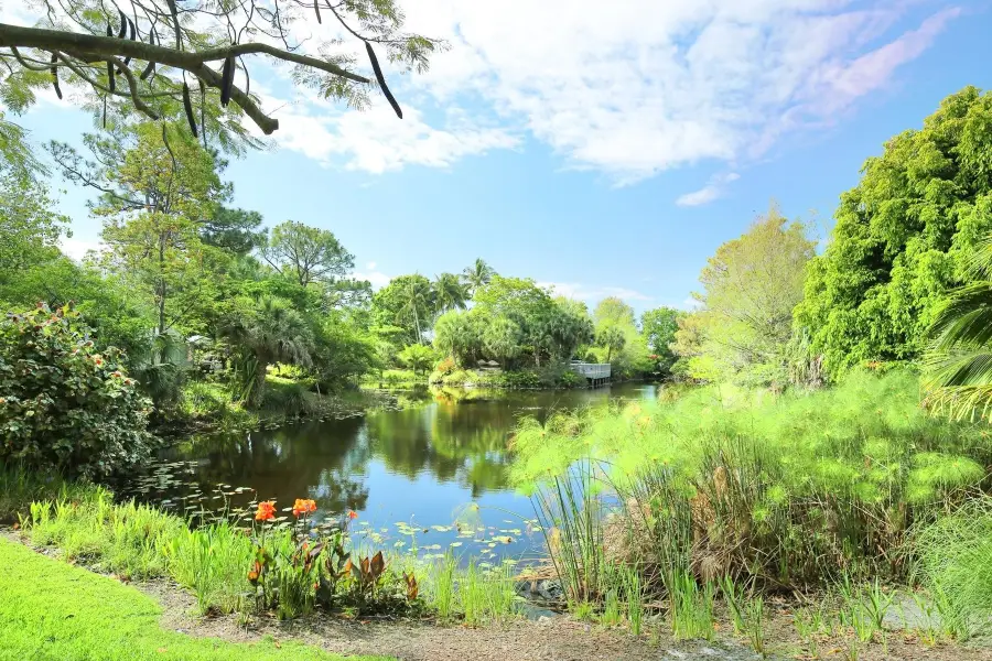 Mounts Botanical Garden