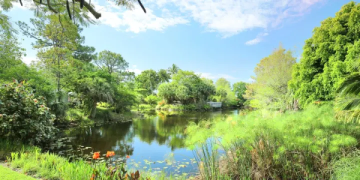 Mounts Botanical Garden