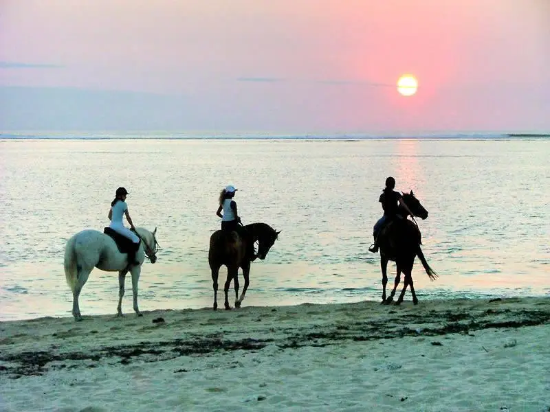 Le Morne Brabant Horse Riding