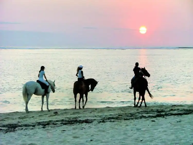 Hotels near Haras Du Morne