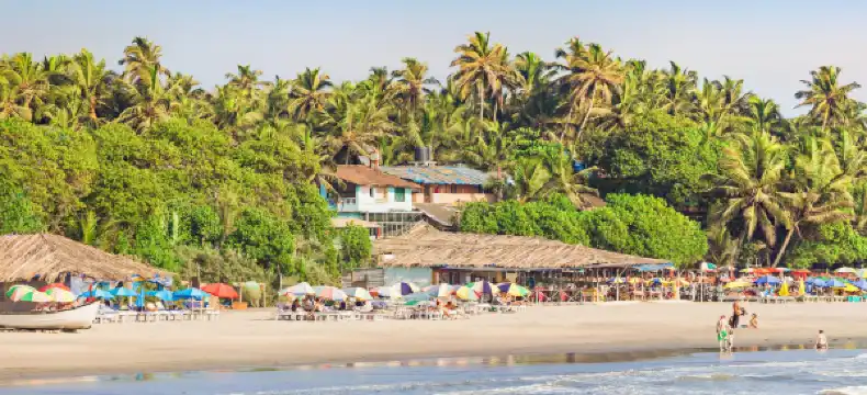 Hotels in Arambol
