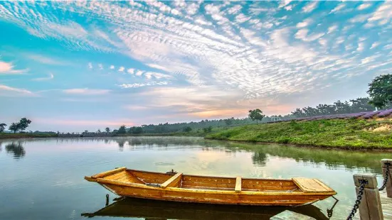 Qingsongling Forest Park