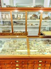 Sedgwick Museum of Earth Sciences