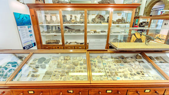 Sedgwick Museum of Earth Sciences