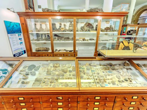 Sedgwick Museum of Earth Sciences