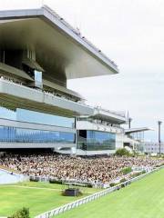 新潟競馬場