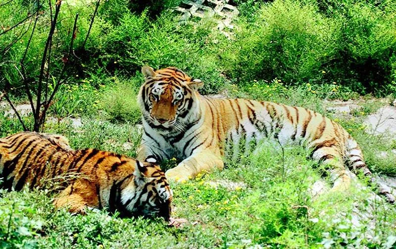 5_Taiyuan Zoo
