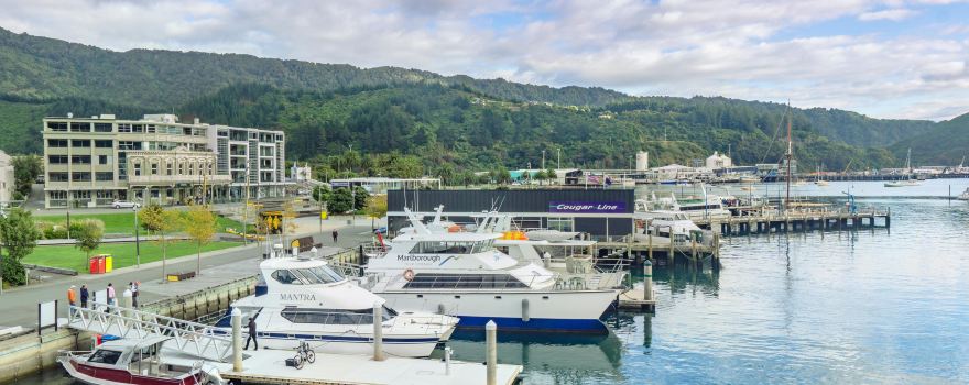 Seafood Odyssea Cruise
