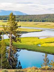 Río Yellowstone