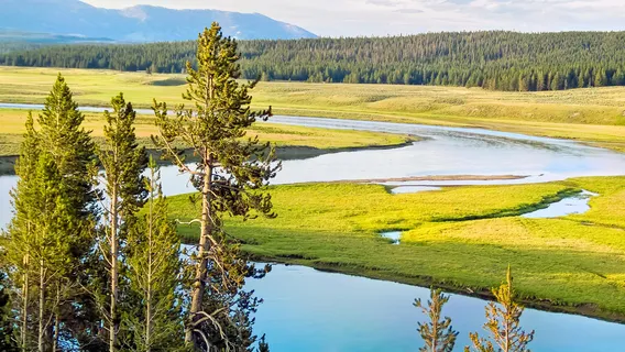 Yellowstone River